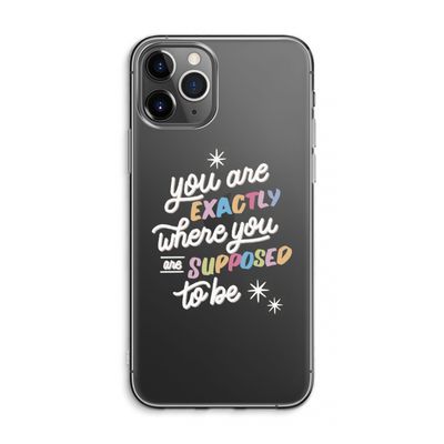 Right Place: iPhone 11 Pro Max Transparant Hoesje