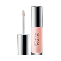 Lipgloss Kanebo FOUNDATIONS Roze