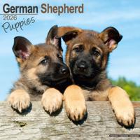 Duitse Herder Puppies Kalender 2026 Duitse Herder Puppies Kalender 2026