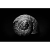 Inductiebeschermer - Snailshell - 78x52 cm