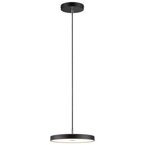 Paulmann Hildor 96782 LED-hanglamp LED 22 W Zwart (mat)