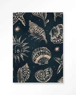 Seashells Midnight