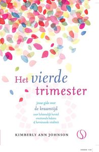 Het vierde trimester - Kimberly Ann Johnson - ebook