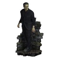 Frankenstein Premium Format Mixed Media Statue Frankenstein (Fabric Costume) 57 cm