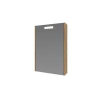 Spiegelkast Proline Premium Met Houten Deur Geïntrigeerd LED Verlichting 50x14x60 cm Whisky Oak