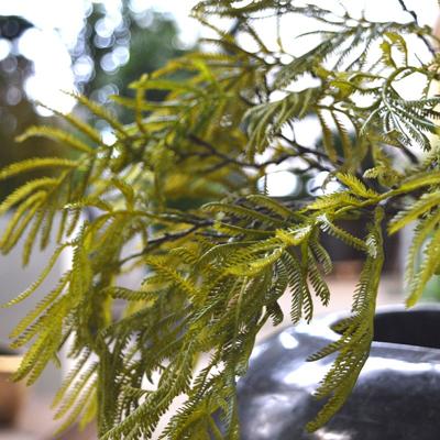 Bonsai Varen kunsttak 70 cm