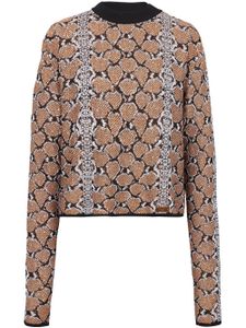 Balmain pull à motif peau de python en jacquard - Marron