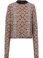 Balmain pull à motif peau de python en jacquard - Marron - thumbnail