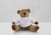 Teddybeer - thumbnail