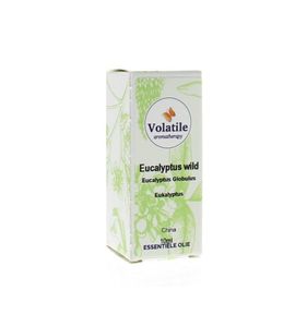 Eucalyptus wild