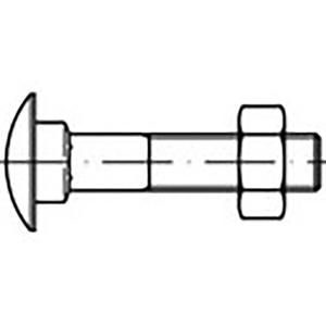 TOOLCRAFT TO-6855744 Platbolkopschroeven M6 25 mm DIN 603 Staal Verzinkt 500 stuk(s)