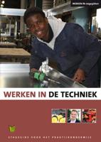 Werken in de techniek (Paperback)