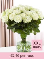 Witte rozen - Kies je aantal - 10 t/m 99 rozen