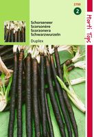 Zaden Schorseneren Duplex Hortitops - Hortitops