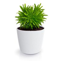 Prosperplast Plantenpot/bloempot Buckingham - kunststof - ivoor wit - 39 x 34 cm   -