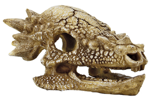 Superfish Skull T Rex M | Prehistorische Dino Schedel als Aquarium Decor & Schuilplaats