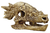 Superfish Skull T Rex M | Prehistorische Dino Schedel als Aquarium Decor & Schuilplaats