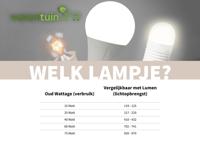 Buiten verlichting Sensor timer - Garden lights