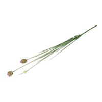 Alliumsteel cepa l10b10h87 cm roze - Countryfield