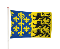 Vlag Overhasselt