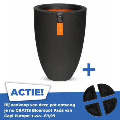 Vaas elegant laag I Smooth NL Ø26 H36 zwart