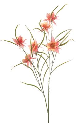 Aquilegia spray peach 84 cm Emerald - Emerald