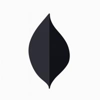 Leaf Muurlamp Zwart