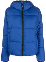 Rossignol veste Puffy à capuche - Bleu