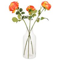 1x Flesvormige bloemenvazen/decoratie vazen/boeketvazen transparant glas 4900 ml   - - thumbnail