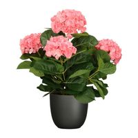 Hortensia kunstplant/kunstbloemen 45 cm - roze - in pot zwart mat