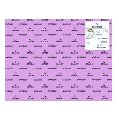 Fiches Iris Lila 50 x 65 cm