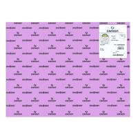 Fiches Iris Lila 50 x 65 cm