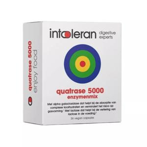 Intoleran Quatrase