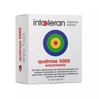 Intoleran Quatrase