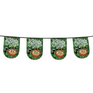 Groene Ierse vlaggenlijn 6 meter