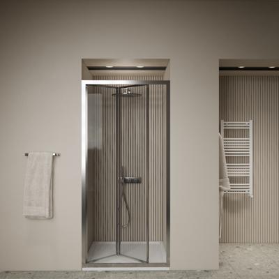 Pendeldeur BWS Arema 100x190 cm Profiel Chroom Boss & Wessing