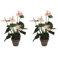 Kunstplant Anthurium - 2x - lichtroze - 40 cm - in grijze pot - nepplant - kamerplant Kunstplant Anthurium - 2x - lichtroze - 40 cm - in grijze pot - nepplant - kamerplant
