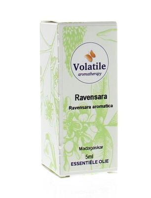 Ravensara