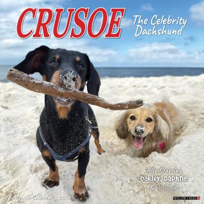 Crusoe de Teckel Kalender 2026