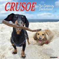 Crusoe de Teckel Kalender 2026