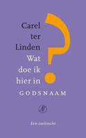 Wat doe ik hier in godsnaam? (Paperback)