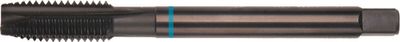 Rotec HSSE INOX M.Tap DIN 376-B M12 VAP - 3311200 - 331.1200