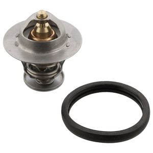 thermostaat 106104