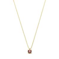 14k Geelgouden Ketting met Synthetische Granaat (Januari) - 42+2 cm