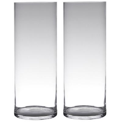 Hakbijl glass bloemenvaas - Set van 2x stuks - Transparant - glas - 19 x 60 cm - Cilinder vormig