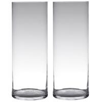 Hakbijl glass bloemenvaas - Set van 2x stuks - Transparant - glas - 19 x 60 cm - Cilinder vormig