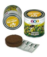 Eetbare bloemen in blik Bosviooltje Helen Mount