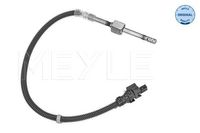 Sensor, uitlaatgastemperatuur 0148000174
