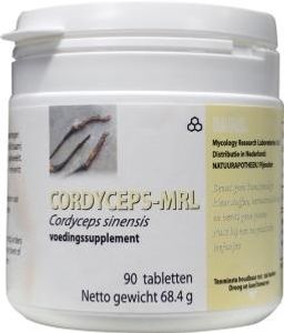 Cordyceps