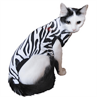 Medical Pet Shirt Kat Zebraprint - thumbnail